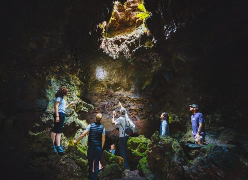 Big Island: Off the Beaten Path Volcano Crater Hike - The Itinerary: A Walk Through Volcano & Forest