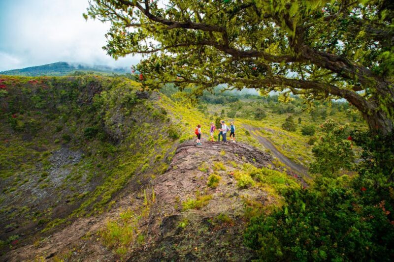 Big Island: Off the Beaten Path Volcano Crater Hike - The Sum Up