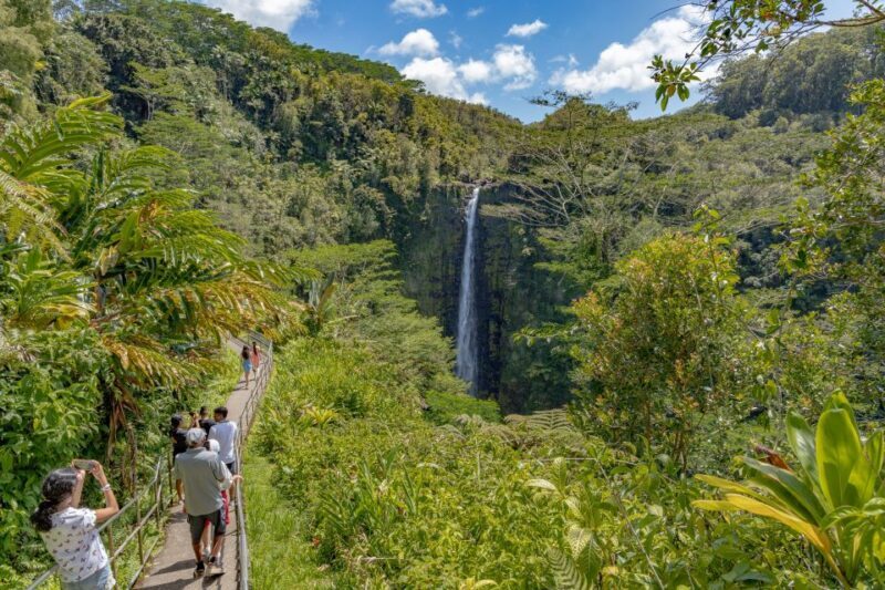Big Island: Private Island Circle Tour with Lunch and Dinner - An In-Depth Look at the Tour Experience