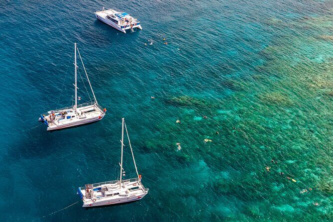 Big Island Snorkel Cruise from Waikoloa - Key Points