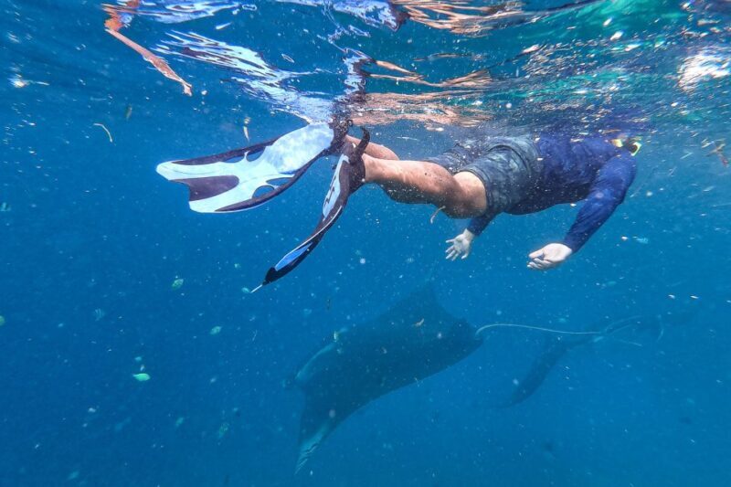 Big Island: Snorkel with Manta Rays - Manta Guarantee - FAQ