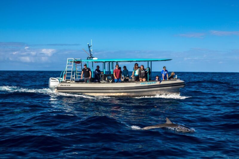 Big Island: South Kona Snorkeling and Coastline Exploration - Who Will Love This Tour?
