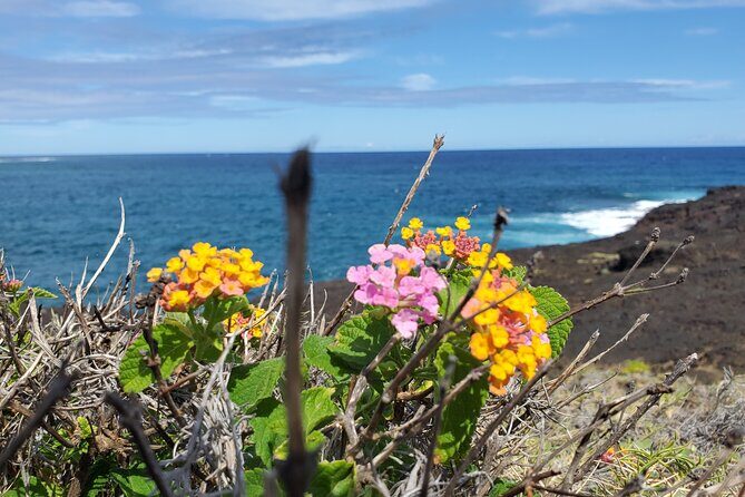 Big Island Southside ATV Tour - The Sum Up