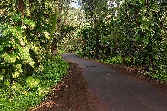 Big Island Volcano Adventure from Kona: Small Group - FAQs