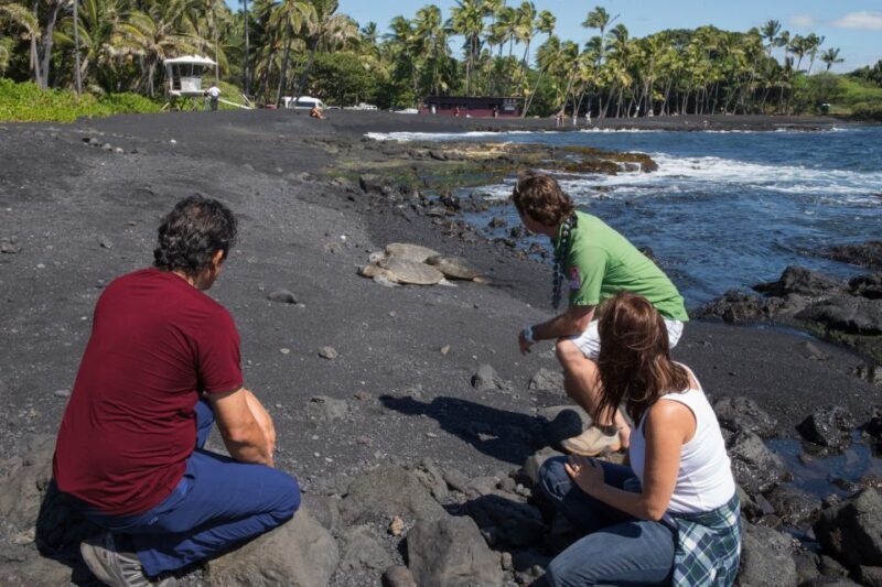 Big Island: Volcanoes, Waterfalls, & Coffee Farm Day-Trip - An In-Depth Look at the Tour