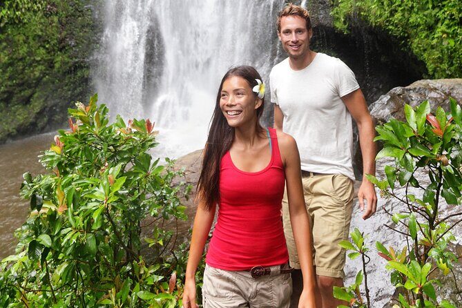 Big Island Waterfall Swim and Hike with Hilo Cruise Ship Pickup - Key Points