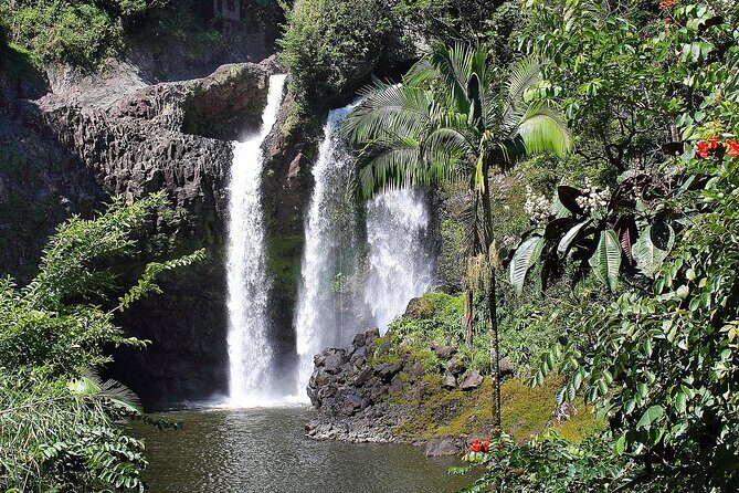 Big Island Waterfall Swim and Hike with Hilo Cruise Ship Pickup - A Closer Look at the Experience