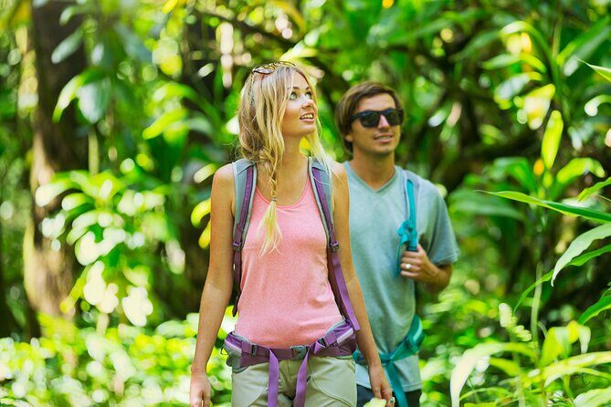 Big Island Waterfall Swim and Hike with Hilo Cruise Ship Pickup - Frequently Asked Questions