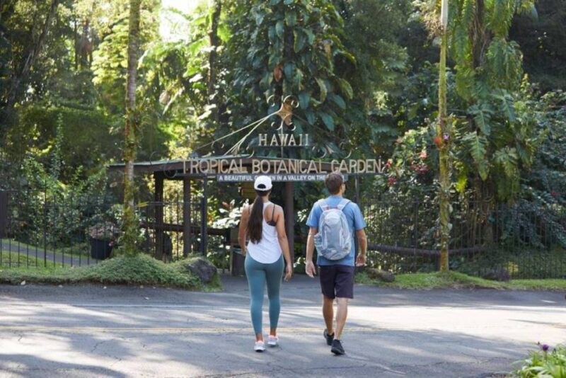 Big Island: Waterfall Tour with Swimming & Botanical Garden - An In-Depth Look at the Itinerary
