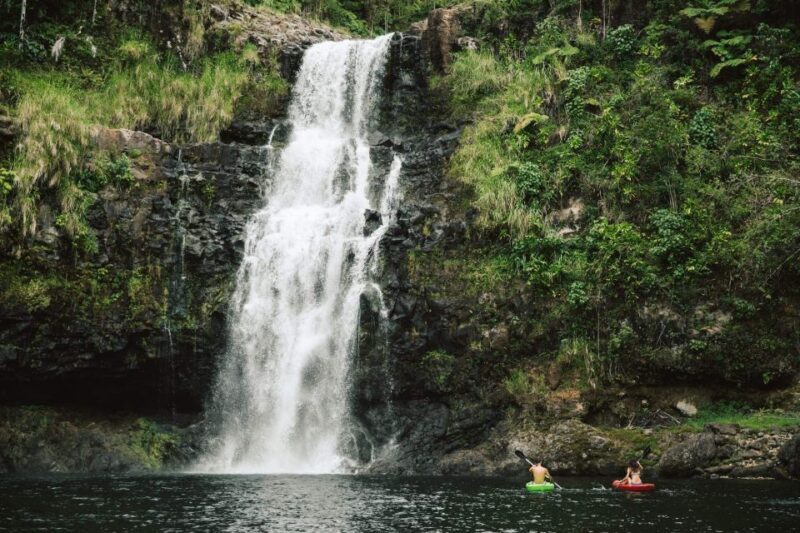 Big Island: Waterfall Tour with Swimming & Botanical Garden - Final Thoughts: Who Would Love This Tour?