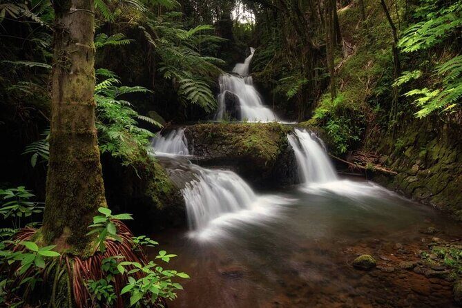 Big Island Waterfalls Tour with Swimming and Botanical Garden - The Sum Up