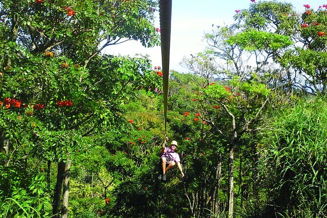Big Island Zipline Adventure - Analyzing the Value