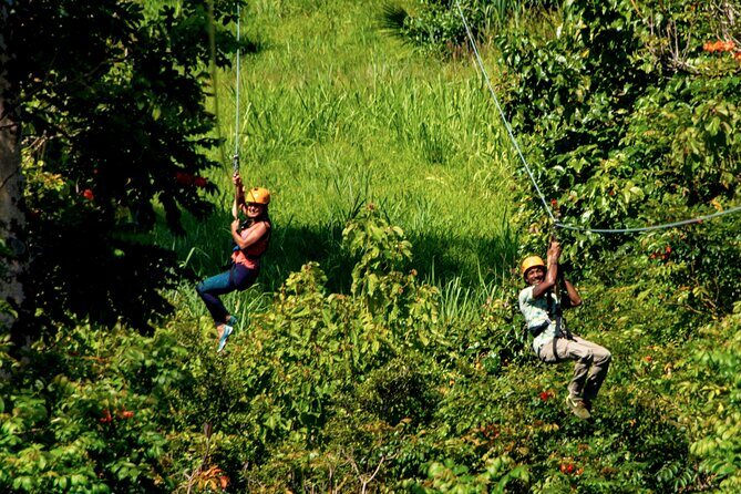 Big Island Zipline Adventure - Who Should Consider This Tour?