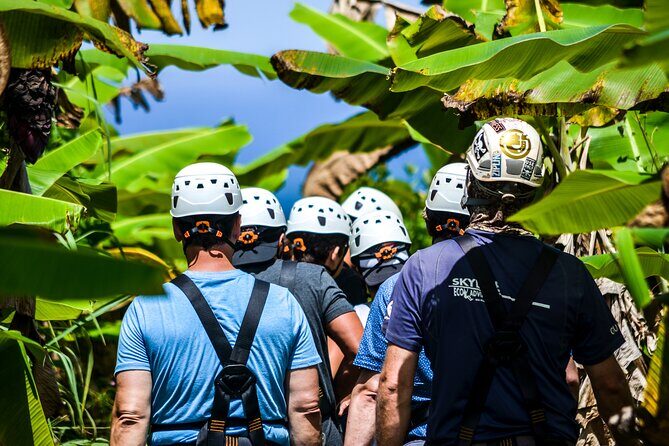 Big Island Zipline over KoleKole Falls - The Scenic Highlights