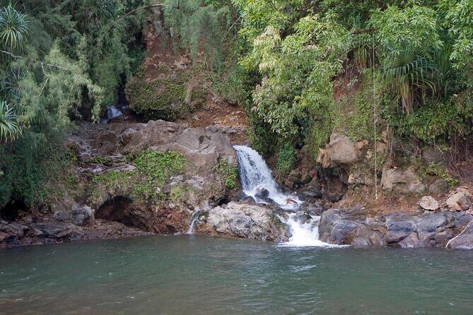 Big Island Zipline over KoleKole Falls - Guides and Safety