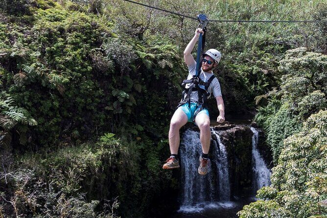 Big Island Zipline over KoleKole Falls - What the Reviews Say