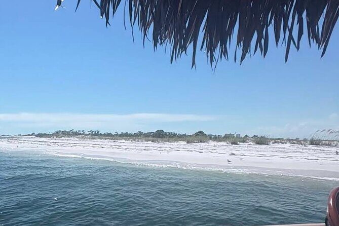 Big Kahuna Sunset Dolphin Cruise Experience - Frequently Asked Questions
