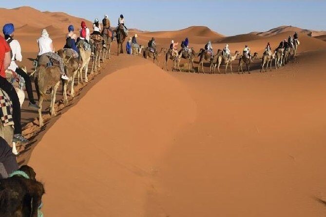 Big Morocco Tour 15 Days From Casablanca - What Travelers Say: Authentic Experiences and Expert Guides
