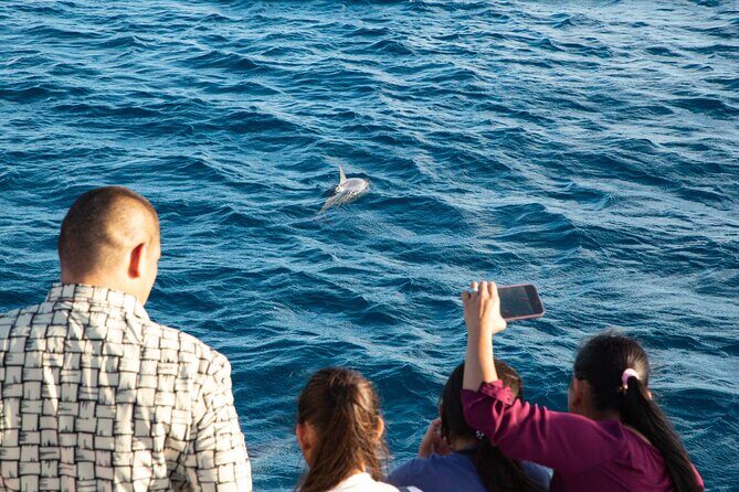 BIG Sunset Cruise - Dinner & Dolphin Watching in Guam - Key Points