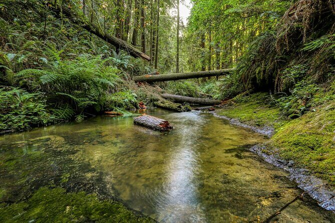 Big Sur California Coast McWay Falls opt from Monterey Carmel - FAQ