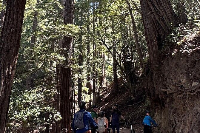 Big Sur Electric Bike Tour Along Old Coast Road - FAQs
