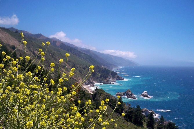 Big Sur Monterey California Coast from San Jose 1 - 12 people - Contact Information