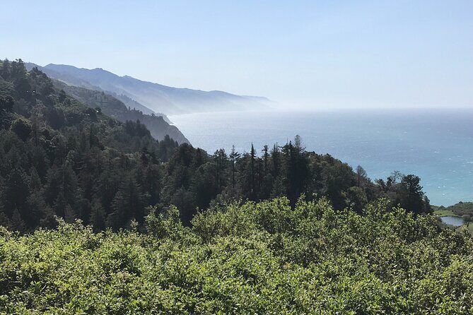 Big Sur Sightseeing Tour - Authentic Feedback from Travelers