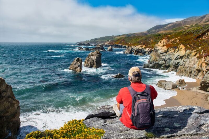 Big Sur: Sightseeing Tour with 4 to 5 Stops - Pricing and What It Gets You