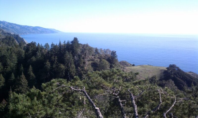Big Sur: Sightseeing Tour with 4 to 5 Stops - The Impact of Weather and Timing