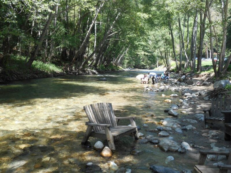 Big Sur: Sightseeing Tour with 4 to 5 Stops - Final Thoughts: Is It Worth It?