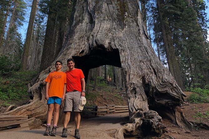 Big Trees Hike & Riverside Cookout Adventure - A Naturalist-Led Journey into Yosemite’s Giants