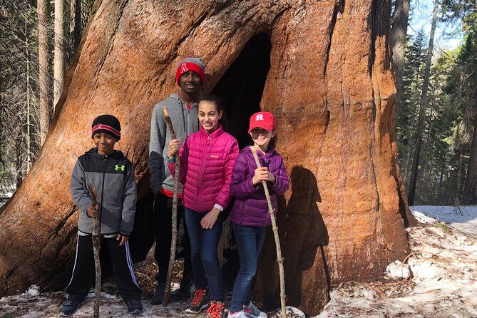 Big Trees Hike & Riverside Cookout Adventure - Authentic Travelers’ Perspectives
