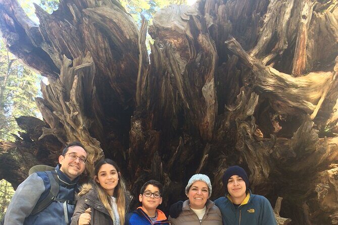 Big Trees Hike & Riverside Cookout Adventure - FAQ