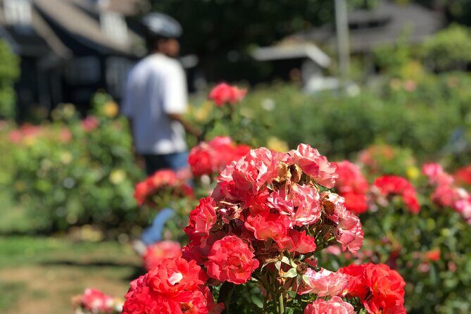 Bike Around Portland Oregon: Art, Culture, Bridges, Poetry - Sweet Treats and Riverside Views