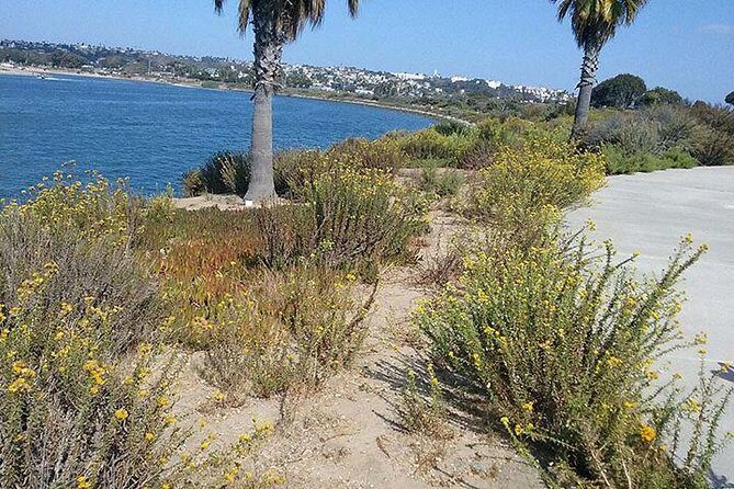Bike Around San Diego Bay to the Ocean - The Sum Up