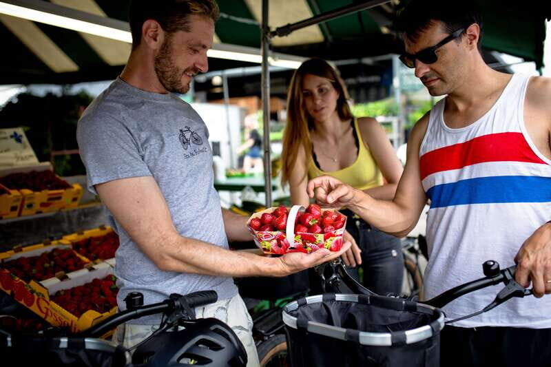 Bike/E-bike tour Plateau,MileEnd, Jean-Talon Market by Fitz - Key Points