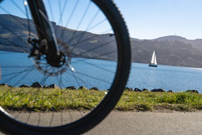 Bike Ferry Portobello to Port Chalmers and Quarantine Island - The Sum Up