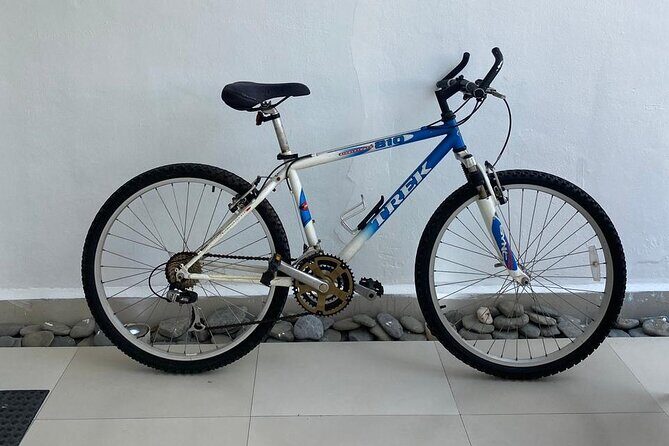 Bike Rental in Isla Mujeres - A Closer Look at the Bike Rental Experience