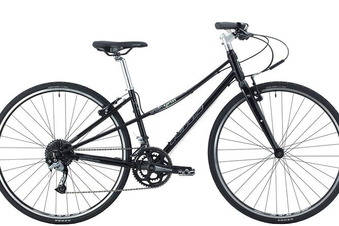 Bike Rental in South Lake Tahoe - The Experience Itself