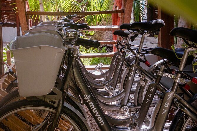 Bike Rental in Tulum downtown - A Detailed Look at the Tulum Bike Rental Experience
