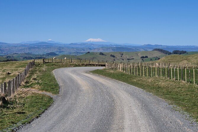 Bike Rental in Waitomo Caves - Exploring Waitomo by E-Bike: A Closer Look