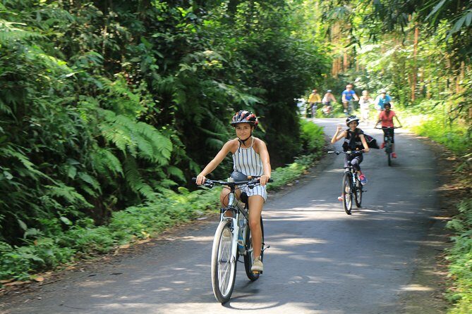Bike ride in the rice fields, Bali countryside - Practical Details: What You Need to Know