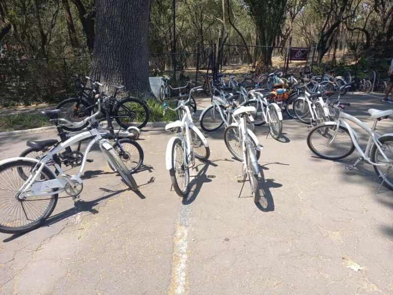 BIKE RIDE THROUGH ICONIC SITES OF THE CDMX / BREAKFAST & BEER - Analyzing the Value