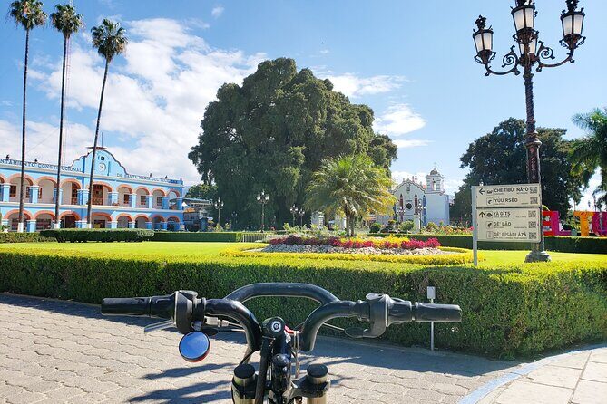 Bike Ride to the Largest Tree in the World - Introduction