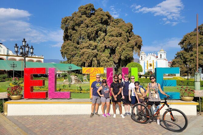 Bike Ride to the Largest Tree in the World - An In-Depth Look at the Bike Ride Experience