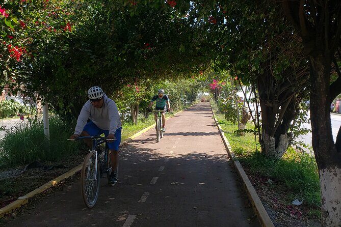 Bike Ride to the Largest Tree in the World - Final Thoughts