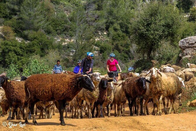 Bike the Holy Land with Yoav Lavi, Bike Guide for all levels and a Photographer - An In-Depth Look at the Tour Experience