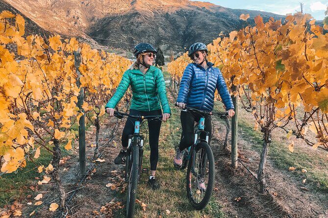 Bike The Wineries (3/4 Day) - Ride Through Queenstown Vineyards - An Honest Look at the Queenstown Winery Bike Tour