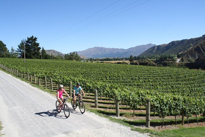 Bike The Wineries (3/4 Day) - Ride Through Queenstown Vineyards - Pricing and Value