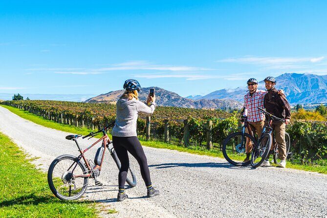 Bike The Wineries (Full-Day) - Bike & Wine Tour - Who Will Love This Tour?